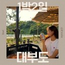 정일파크 | 근교 1박 2일 여행 코스 대부도/거북섬 맛집 카페 바 숙소 추천ㅣ 정일수산 왐왐커피 크라프 어반스테이