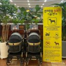 덕평삼거리 전 | 이동 필수정보! 반려견 특화 휴게소 총정리.🐶 반려견 동반 휴게소 어디가 좋을까? 설 연휴 이동 전 체크!