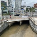 세파에 따르지 이미지