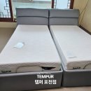 연천-2 | 연천 템퍼 모션베드 설치 후기｜프리마 매트리스 싱글 2개 패밀리 침대 추천 (포천점 할인)