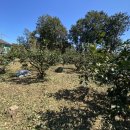 동부분소 이미지