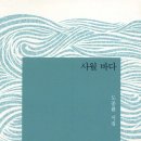 도요새 / 도종환 『중앙SUNDAY/시(詩)와 사색』 이미지