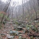 산새들공원 이미지