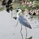 일원사