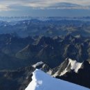 경성알씨 이미지