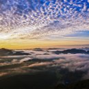 옥정호 붕어섬 일출,전주 덕진공원(연꽃),한옥마을 갑니다. 이미지