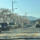 엔젤리너스 남원도통점(다이닝) | 4월-시원섭섭 한가득, 교생 한 달👩🏻‍🏫 ✨