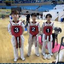 엘리트용인대국가대표태권도장 이미지