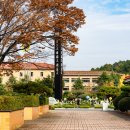 광양제철초등학교 이미지