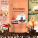 피누스스토어다온