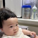 라비킷 릴리브 분유포트 비교 후 15만원 구입 내돈내산 한달 후기