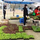 농업농장 이미지