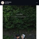 더스윗미 | [웨딩] 제주 스냅 예약:: 단스윗미 예약 후기