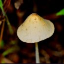 메리힐어린이집 이미지