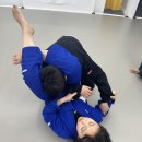 합기도 일산도장 이미지