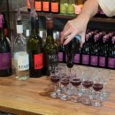 ㈜스카이투어관광 | 호주 여행 추천 액티비티 / 포트스테판 투어 / 시드니 스카이다이빙 등 후기, 할인쿠폰