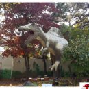 창조자연사박물관 이미지