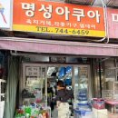 명성유통 | 청계천 수족관 거리 게코 입문 후기 (명성아쿠아, 주차 꿀팁까지)