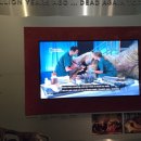 극 P의 시드니 여행기 (4)