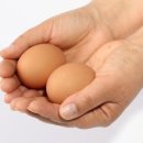 하민농장 이미지