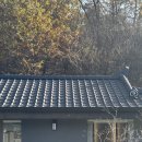 사랑드림약국 | [서울근교펜션] 스테이더담 여주강천점, 감성 독채 덴마크식 사우나까지있는 경기도 숙소추천