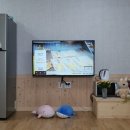 칠포파인비치호텔 이미지