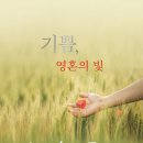 기쁨디자인 이미지