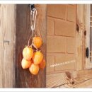 단양집민박 이미지