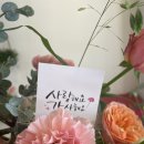 플로라움floraum 네이버블로그