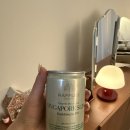 호텔샾 | 싱가포르 라플스 호텔 굿즈샵 후기 | 사진 잘 나오는 곳 래플스 호텔 싱가포르 기념품샾 싱가포르 사진스팟