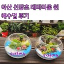 영인원예 이미지