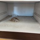 사이룩스 이미지