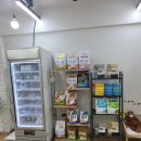 몽시앙 | 당진 기지시 애견용품집 방문 후기(몽시앙)