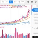 개미다실