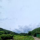 초천4리 네이버블로그