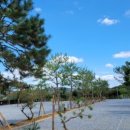 파주 눌노리 체험 캠핑장 이미지