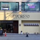 히포레스트(Hipporest) 이미지