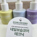 손끝차이 | ✨ 화곡역 네일샵 볼로네일 — 손끝의 차이를 느낀 하루 후기 💅🏻