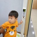 상쾌한연합이비인후과의원 네이버블로그