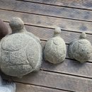 거북조경