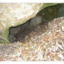 큰골농장 이미지