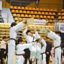 그린나래 태권도 시범단 이미지