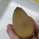 달달콩만쥬 이미지