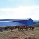 강성인농장 이미지