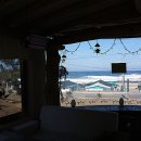 낭만고등어 이미지