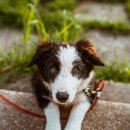 바른신경외과의원 이미지