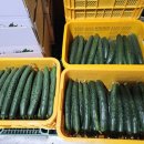 수광농장 이미지