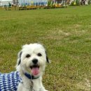 신정호수공원-5 이미지