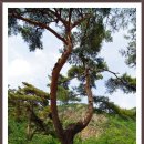 우복동마을 이미지