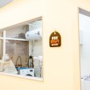 고양이이발관 송도점 이미지